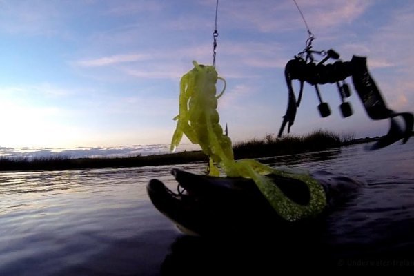 Kraken даркнет переходник