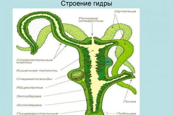 Актуальный сайт кракена