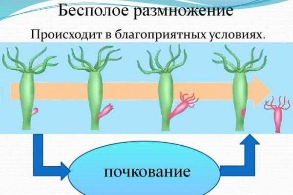 Кракен не грузит